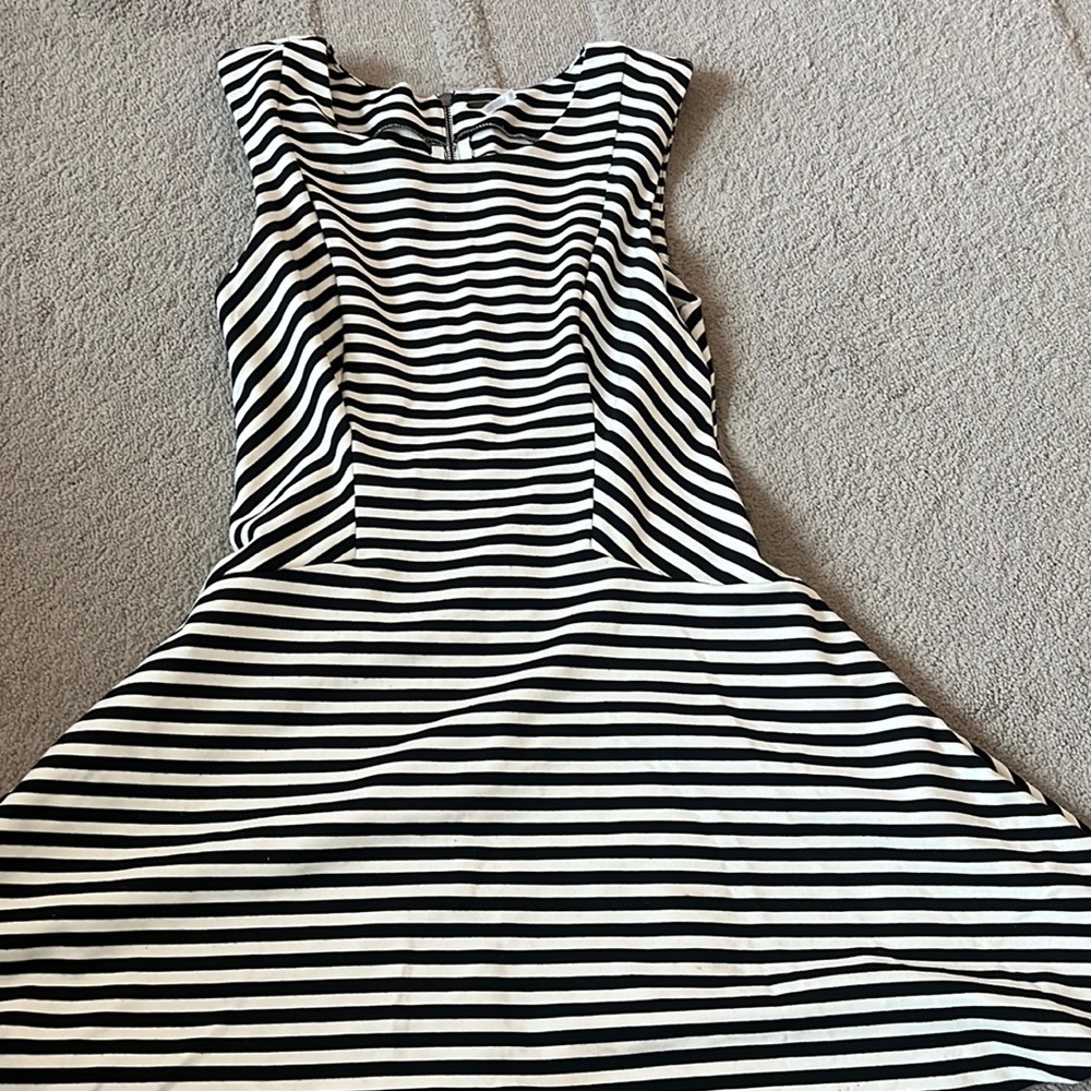 Free People stripped sleeveless skater dress
